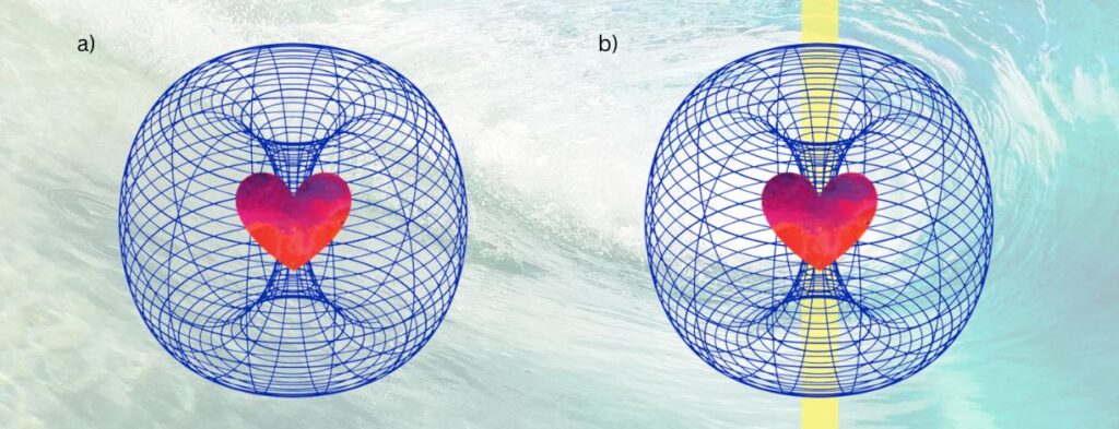 das herzfeld als torus